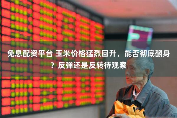 免息配资平台 玉米价格猛烈回升，能否彻底翻身？反弹还是反转待观察
